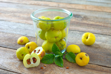 Frische Quitten Früchte