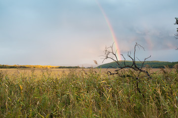 Landscape with wild field, dramatic sky and rainbow. Rainbow between the sky and green hill.
