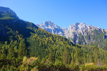 Fototapeta na wymiar Tiroler Berge im Herbst