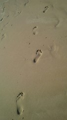 Fototapeta na wymiar impronte sulla sabbia