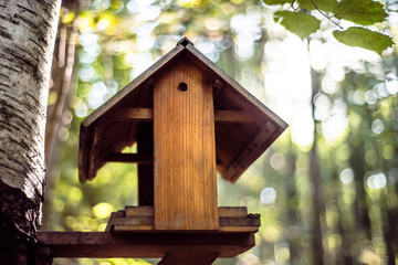 Birdhouse with blurred nature in the background.
