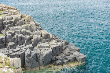 wildlife of green Scotland in england Skye Island