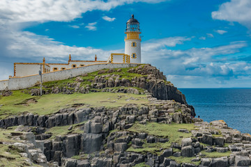 wildlife of green Scotland in england Skye Island