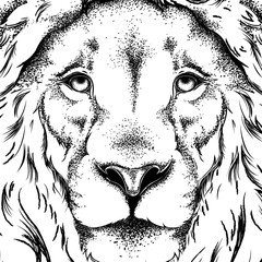 Drawing of a lion's head. Graphic design of the cover. Template for registration. Vector illustration