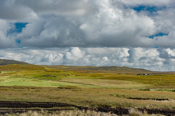 Fototapeta premium wildlife of green Scotland in england Skye Island