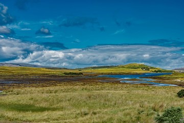 wildlife of green Scotland in england Skye Island