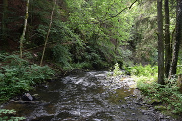 Ölschnitz bei Bad Berneck