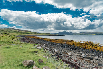 wildlife of green Scotland in england Skye Island