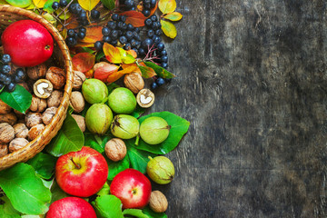 Assortment organic fruits berries apple grape damascene walnut rowanberry dark wooden country background health care natural concept top view