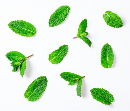 Fresh raw mint leaves isolated on white background