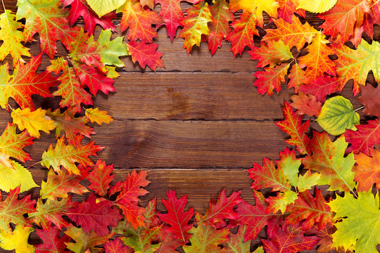 Autumn background with yellow, red and bright leaves. Frame of autumn foliage on the old wood with free space. The layout offers and seasonal holiday card