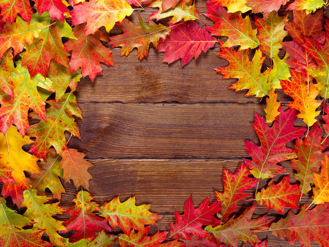 Autumn background with yellow, red and bright leaves. Frame of autumn foliage on the old wood with free space. The layout offers and seasonal holiday card