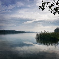 Fototapeta premium Blick von der Halbinsel Mettnau über den Bodensee