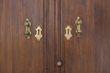 Golden door knockers of an old door