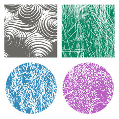 Grass vector texture for creation of banners and abstract organic backgrounds and patterns.