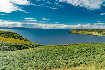 lands between sea and sky with green meadows of Scotland in England