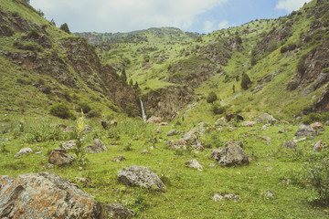 Fototapeta na wymiar Green pastures and waterfall under blue skies.