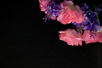Pink autumn roses and violet flowers in a black background