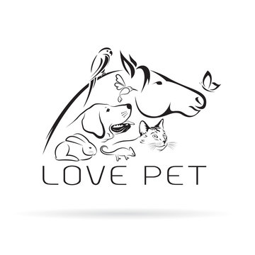 Vector group of pets - Horse, dog, cat, bird, butterfly, chameleon ,rabbit isolated on white background. Pet Icon.