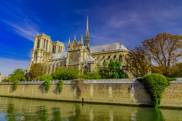 Notre Dame in Paris, in the autumn