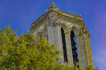 Fototapeta na wymiar Notre Dame in Paris, in the autumn