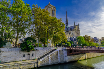 Naklejka na ściany i meble Notre Dame in Paris, in the autumn