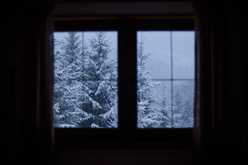 Fototapeta na wymiar snow-covered forest from the window