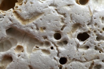 Carbonate rock with boring traces