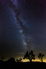 Fototapeta na wymiar The Milky Way over Joshua Tree National Park