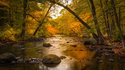 Fotobehang Herfstgebladerte langs de Musconetcong-rivier in Stephens State Park, Hackettstown, NJ © frank1crayon