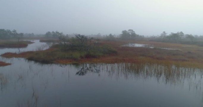Flying over little lakes in wild bog aerial shot