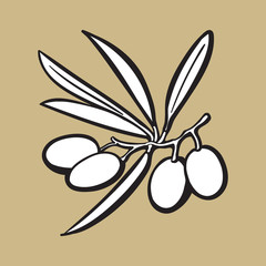 Olives black and white outline sketch style vector illustration on color background. Realistic hand drawing of olives with space for text.