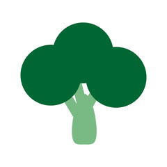 broccoli vegetable icon image vector illustration design 