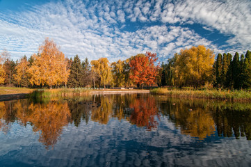 Naklejka na ściany i meble Beautiful autumn park with colorful trees and scenic sky reflected in the water.