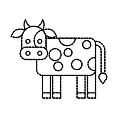 farm cow animal mammal domestic