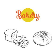 vector sketch fresh sliced rye bread and round loaf set. Detailed hand drawn isolated illustration on a white background. Flour pastry products, bakery banner, poster design object
