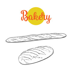 vector sketch fresh white loaf bread, french baguette set . Detailed hand drawn isolated illustration on a white background. Flour pastry products, bakery banner, poster design object