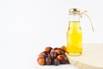 Commercial palm oil cultivation. Since palm oil contains more saturated fats. Oil from Elaeis guineensis is also used as biofuel. It is used as a cooking and in packed food products