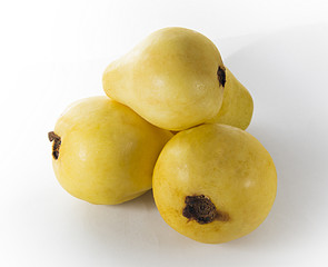 Several guava fruits on a white background