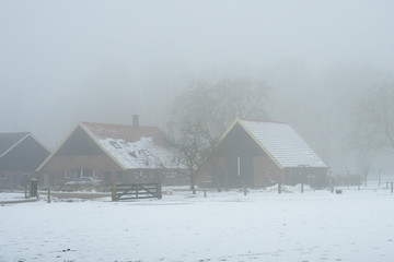 Dutch landscape in the snow