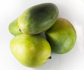 Several mango fruits on white background