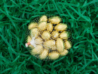 Top view of a mesh bag of gold foil wrapped chocolate Easter candy eggs in shredded plastic green grass.