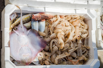 The fish market of the port of Fiumicino where fishermen sell freshly caught fish, octopus, shrimp, malyusks, oysters