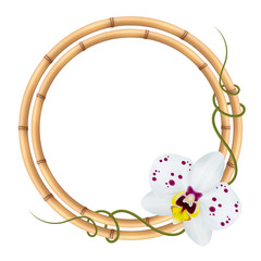 Realistic bamboo frame with orchid flower.