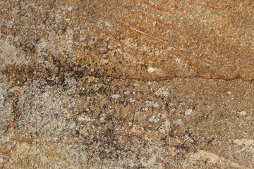 Stone Texture