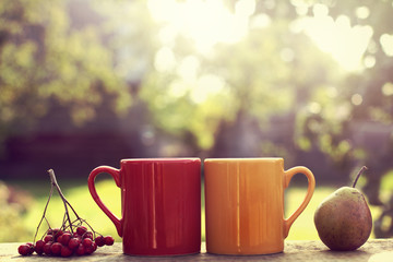 autumn coffee break/ red and yellow circles with a mountain ash and pear on a table in the patio
