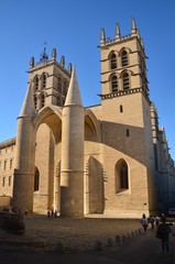 Fototapeta na wymiar Cathédrale Saint-Pierre - Montpellier