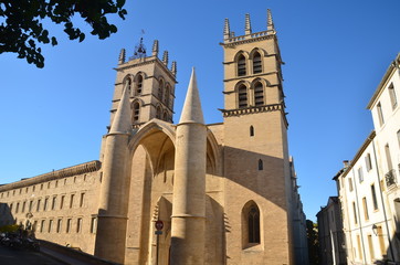 Cathédrale Saint-Pierre de Montpellier 