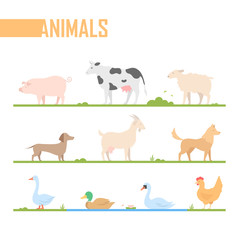 Set of farm animals - modern vector cartoon isolated illustration