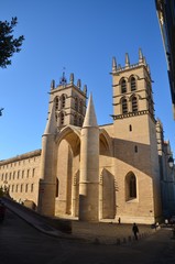 Fototapeta na wymiar Cathédrale Saint-Pierre de Montpellier 